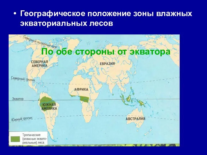 Географическое положение зоны влажных экваториальных лесов По обе стороны от экватора