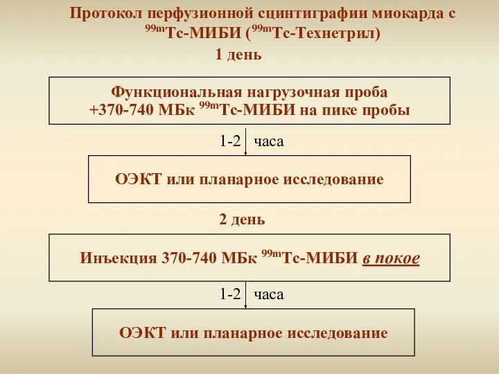 Функциональная нагрузочная проба +370-740 МБк 99mТc-МИБИ на пике пробы Протокол перфузионной