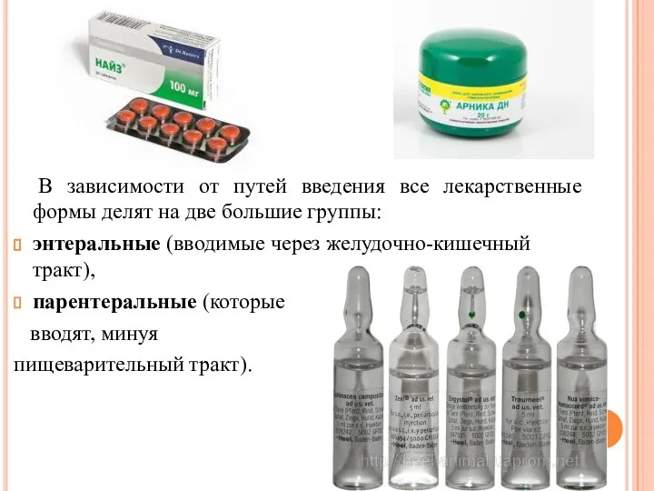 В зависимости от путей введения все лекарственные формы делят на две