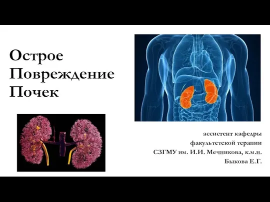 Острое Повреждение Почек ассистент кафедры факультетской терапии СЗГМУ им. И.И. Мечникова, к.м.н. Быкова Е.Г.