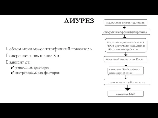 ДИУРЕЗ объем мочи малоспецифичный показатель опережает повышение Scr зависит от: ренальных