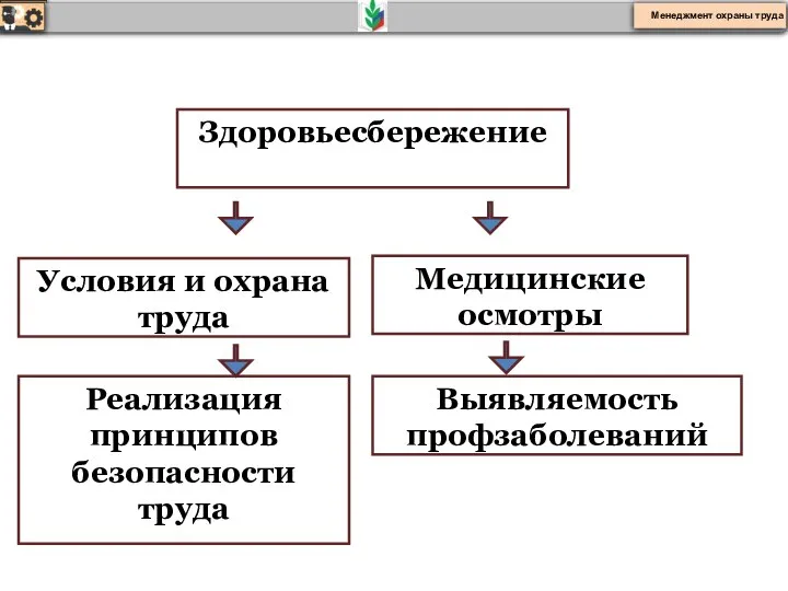 Здоровьесбережение Менеджмент охраны труда Условия и охрана труда Медицинские осмотры Выявляемость профзаболеваний Реализация принципов безопасности труда