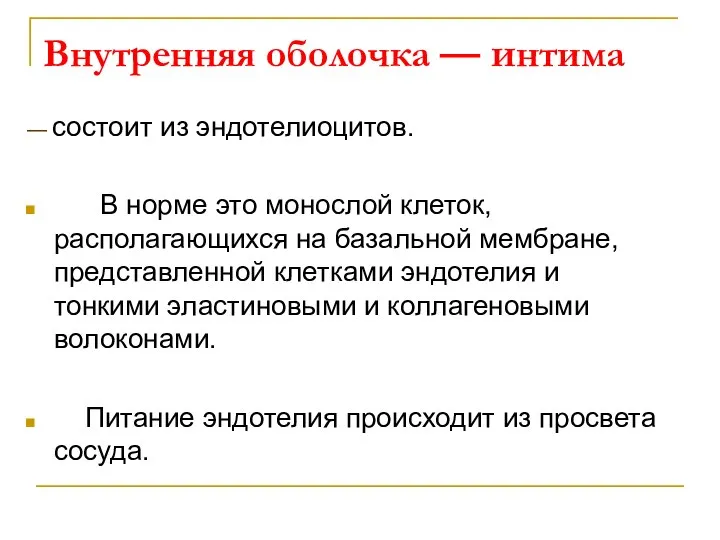 — состоит из эндотелиоцитов. В норме это монослой клеток, располагающихся на