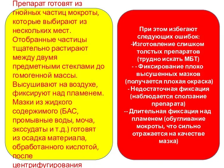 Препарат готовят из гнойных частиц мокроты, которые выбирают из нескольких мест.