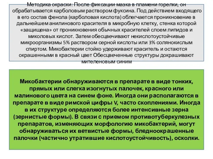 Методика окраски: После фиксации мазка в пламени горелки, он обрабатывается карболовым