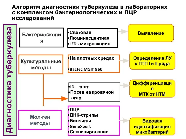 Алгоритм диагностики туберкулеза в лабораториях с комплексом бактериологических и ПЦР исследований