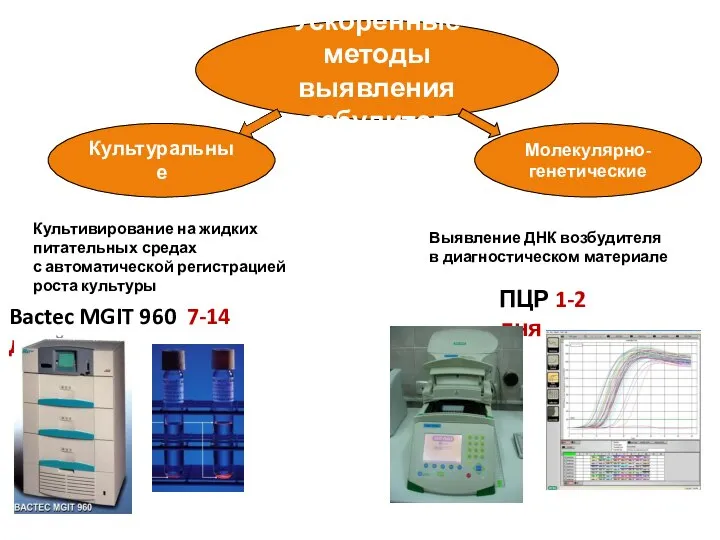 Ускоренные методы выявления возбудителя Молекулярно- генетические Культуральные Культивирование на жидких питательных