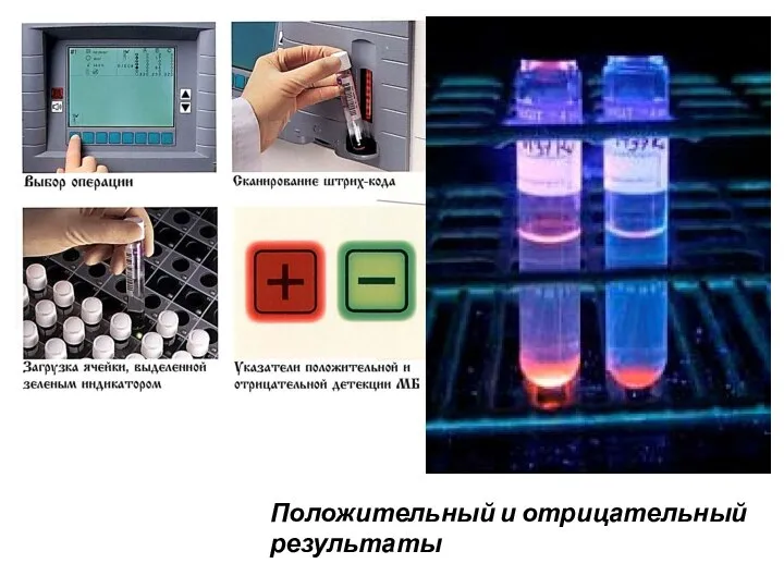 Положительный и отрицательный результаты