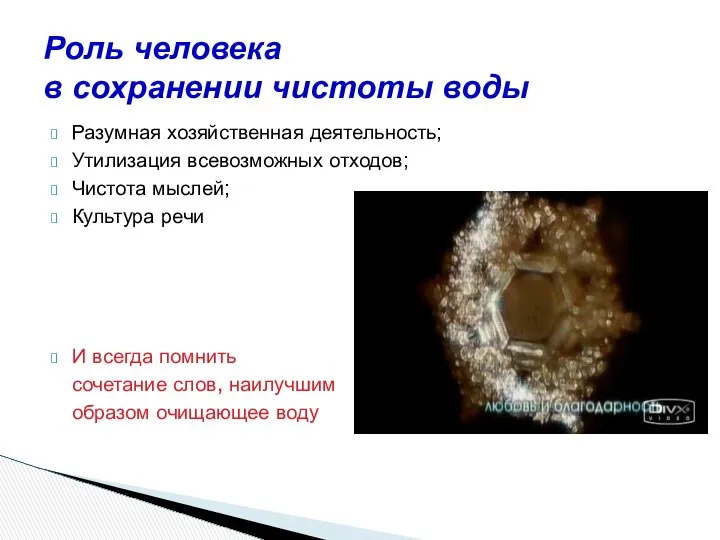 Разумная хозяйственная деятельность; Утилизация всевозможных отходов; Чистота мыслей; Культура речи И