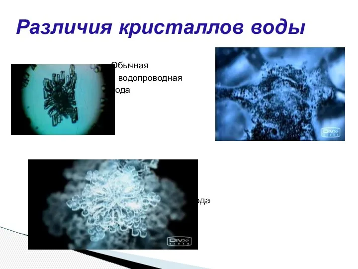 Обычная водопроводная вода Святая вода Различия кристаллов воды