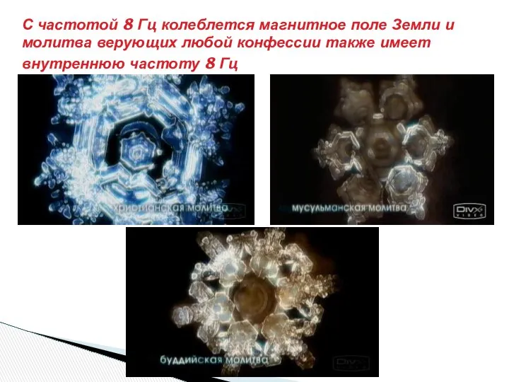 С частотой 8 Гц колеблется магнитное поле Земли и молитва верующих