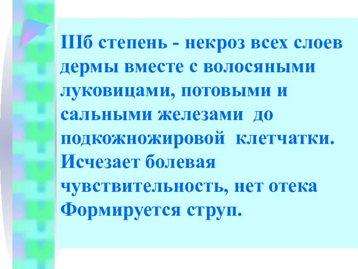 IIIб степень - некроз всех слоев дермы вместе с волосяными луковицами,