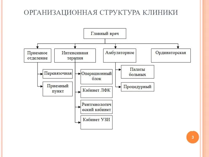 ОРГАНИЗАЦИОННАЯ СТРУКТУРА КЛИНИКИ