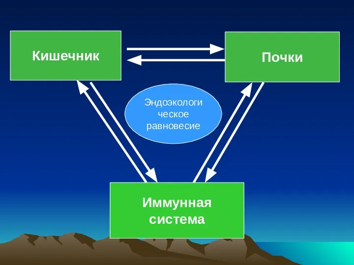 Кишечник Почки Иммунная система Эндоэкологическое равновесие