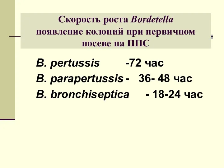 Скорость роста Bordetella появление колоний при первичном посеве на ППС B.