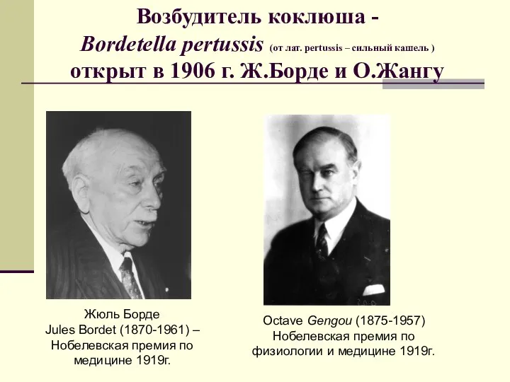 Возбудитель коклюша - Bordetella pertussis (от лат. pertussis – сильный кашель