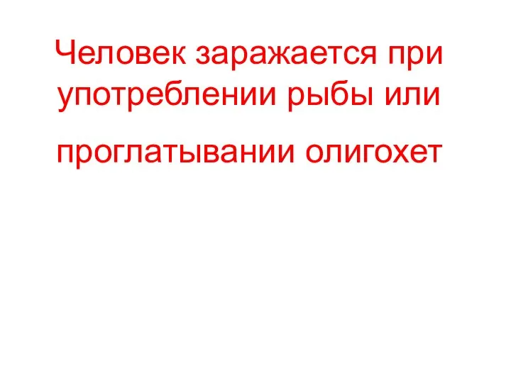 Человек заражается при употреблении рыбы или проглатывании олигохет