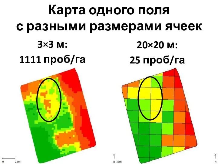 Карта одного поля с разными размерами ячеек 3×3 м: 1111 проб/га 20×20 м: 25 проб/га