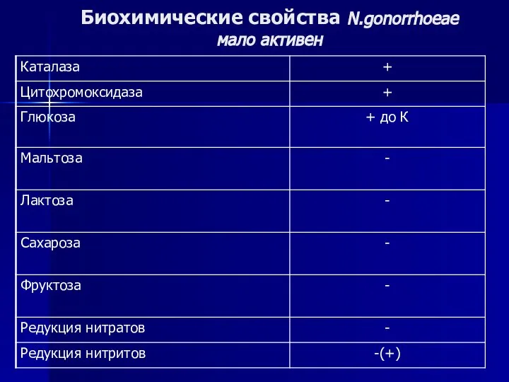 Биохимические свойства N.gonorrhoeae мало активен