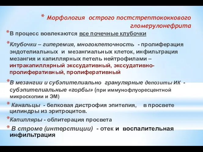 Морфология острого постстрептококкового гломерулонефрита В процесс вовлекаются все почечные клубочки Клубочки