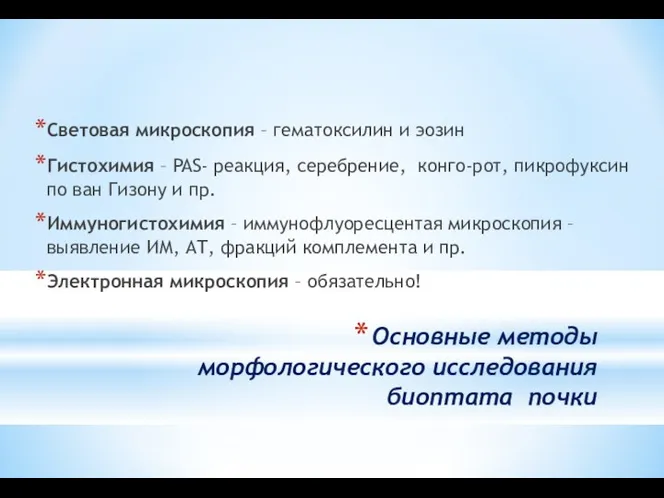 Основные методы морфологического исследования биоптата почки Световая микроскопия – гематоксилин и