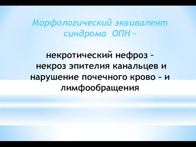 Морфологический эквивалент синдрома ОПН – некротический нефроз – некроз эпителия канальцев