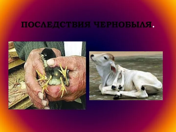 ПОСЛЕДСТВИЯ ЧЕРНОБЫЛЯ.