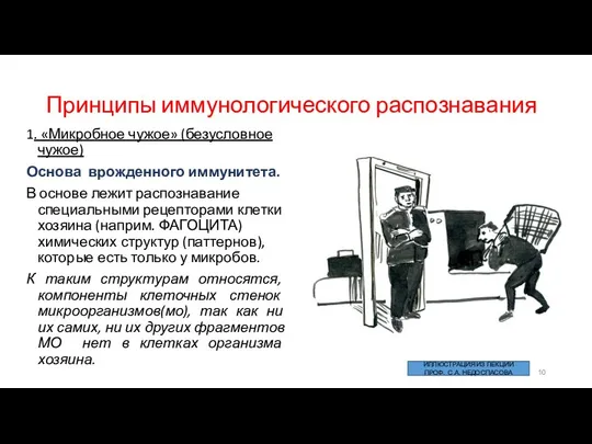 Принципы иммунологического распознавания 1. «Микробное чужое» (безусловное чужое) Основа врожденного иммунитета.