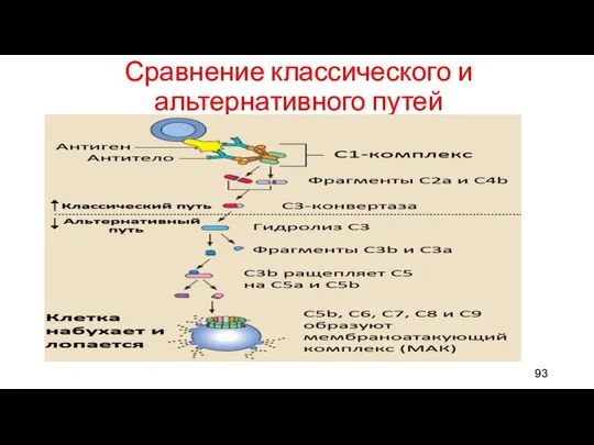 Сравнение классического и альтернативного путей