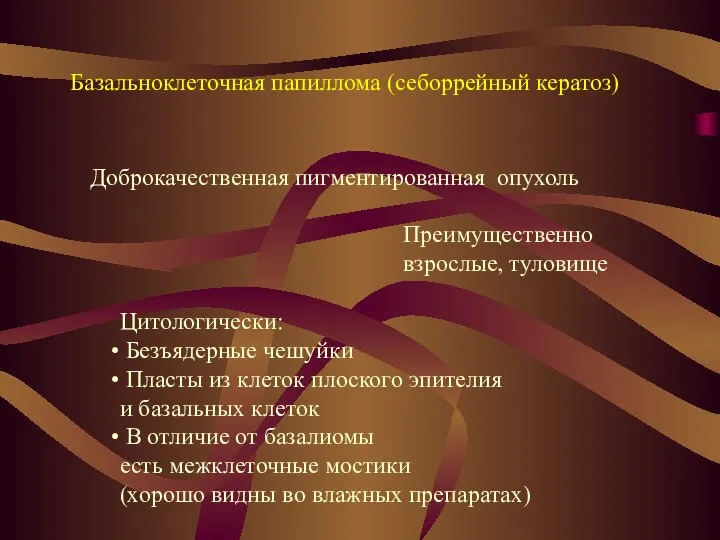 Базальноклеточная папиллома (себоррейный кератоз) Доброкачественная пигментированная опухоль Преимущественно взрослые, туловище Цитологически: