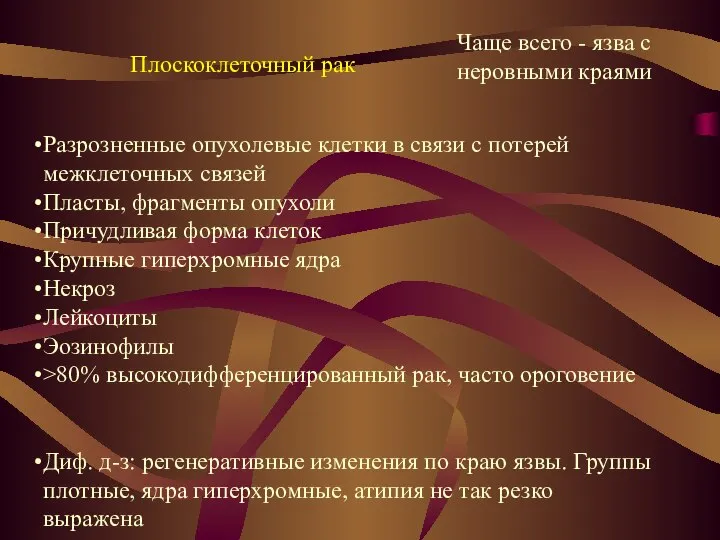 Плоскоклеточный рак Чаще всего - язва с неровными краями Разрозненные опухолевые