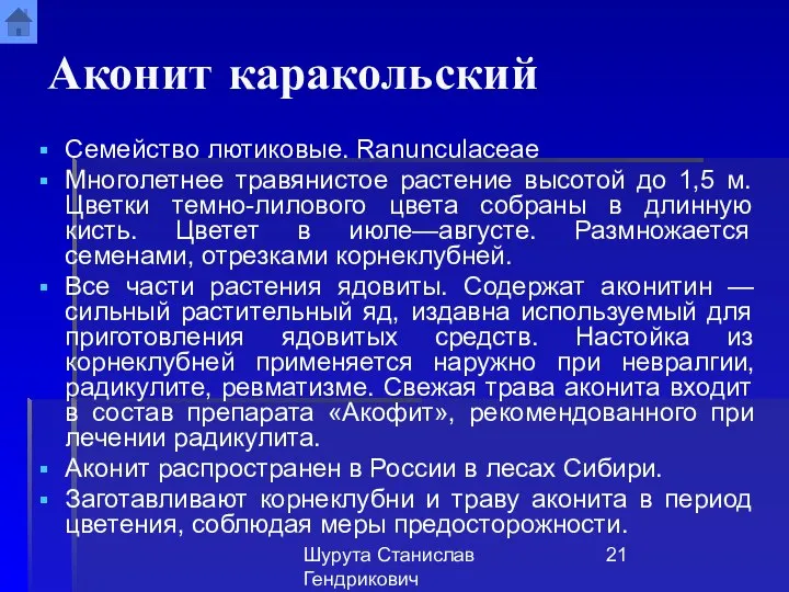 Шурута Станислав Гендрикович Аконит каракольский Семейство лютиковые. Ranunculaceae Многолетнее травянистое растение