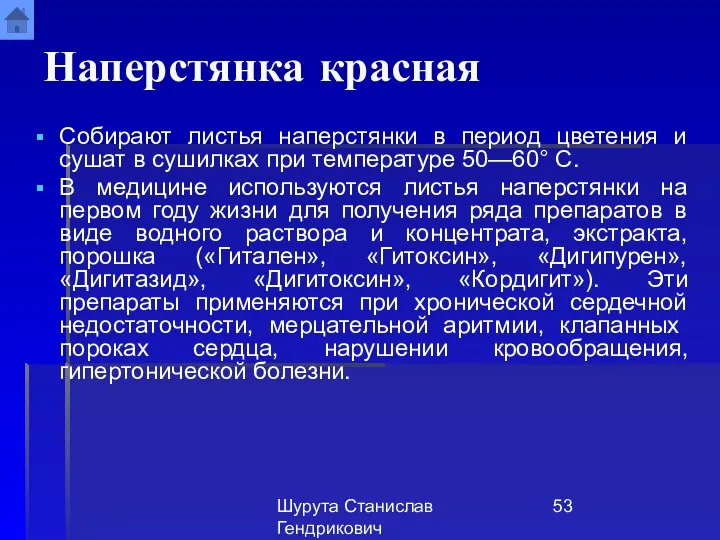 Шурута Станислав Гендрикович Наперстянка красная Собирают листья наперстянки в период цветения