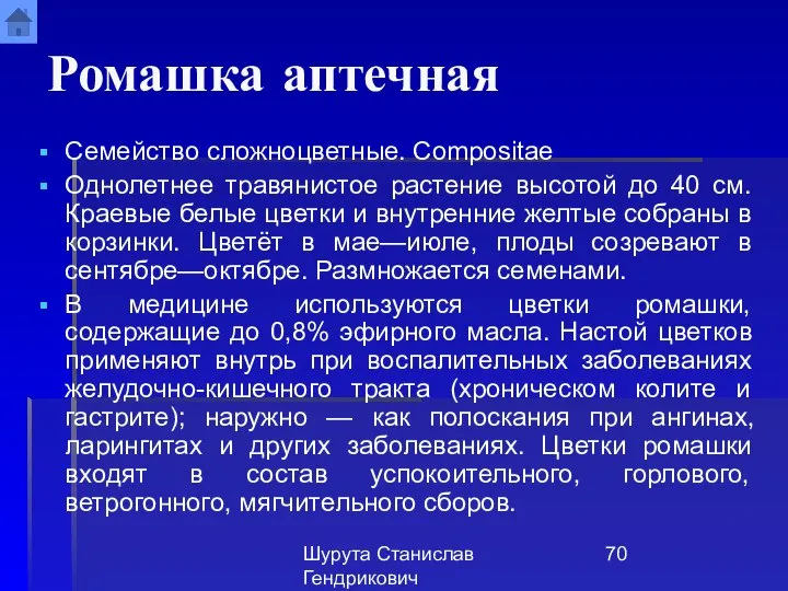 Шурута Станислав Гендрикович Ромашка аптечная Семейство сложноцветные. Compositae Однолетнее травянистое растение