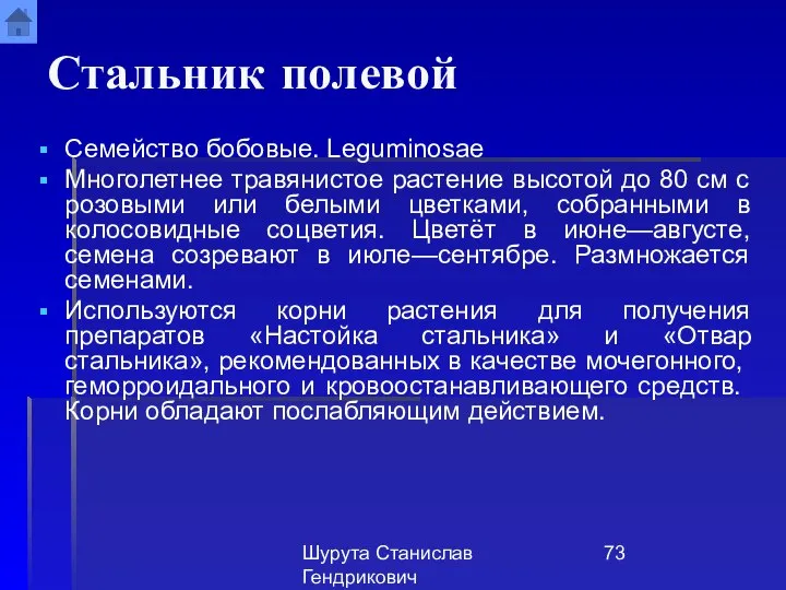 Шурута Станислав Гендрикович Стальник полевой Семейство бобовые. Leguminosae Многолетнее травянистое растение