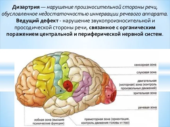 Дизартрия — нарушение произносительной стороны речи, обусловленное недостаточностью иннервации речевого аппарата.