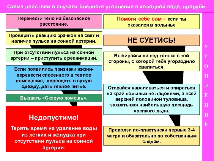 Схема действий в случаях бледного утопления в холодной воде, проруби. У