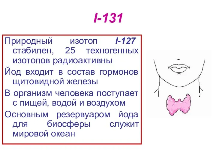 I-131 Природный изотоп I-127 стабилен, 25 техногенных изотопов радиоактивны Йод входит