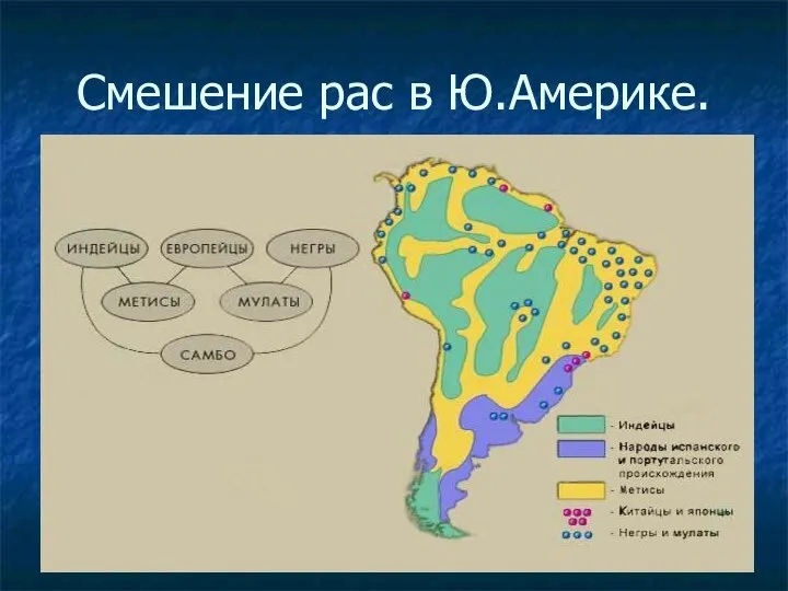 Смешение рас в Ю.Америке.