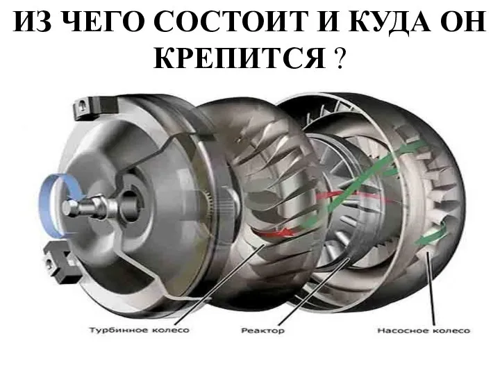 ИЗ ЧЕГО СОСТОИТ И КУДА ОН КРЕПИТСЯ ?