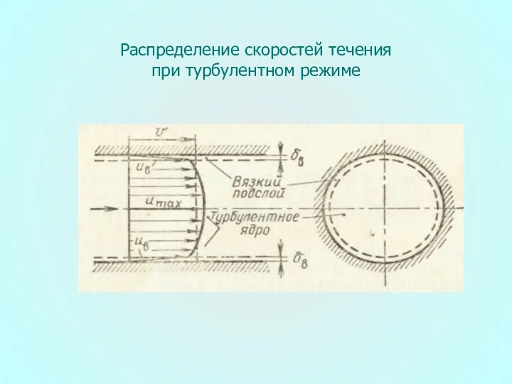 Распределение скоростей течения при турбулентном режиме