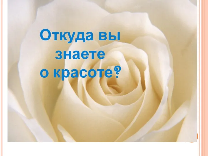 Откуда вы знаете о красоте?