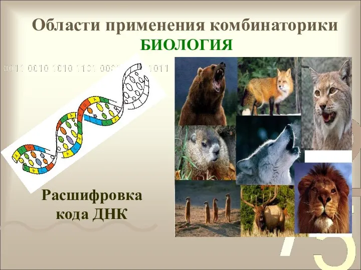 Области применения комбинаторики БИОЛОГИЯ Расшифровка кода ДНК