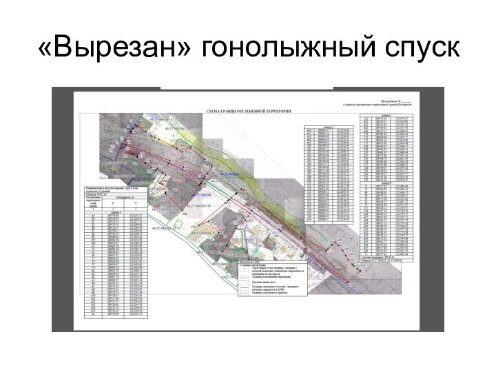 «Вырезан» гонолыжный спуск