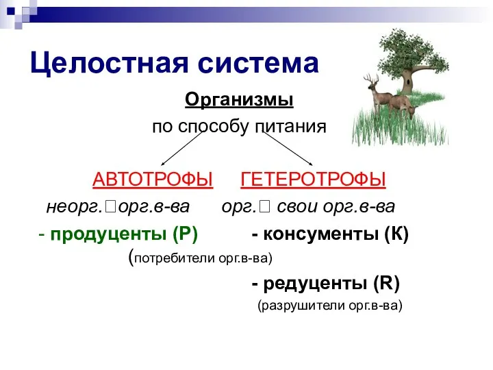 Целостная система Организмы по способу питания АВТОТРОФЫ ГЕТЕРОТРОФЫ неорг.?орг.в-ва орг.? свои