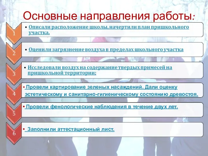 Основные направления работы: Провели картирование зеленых насаждений. Дали оценку эстетическому и