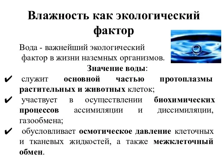 Вода - важнейший экологический фактор в жизни наземных организмов. Значение воды: