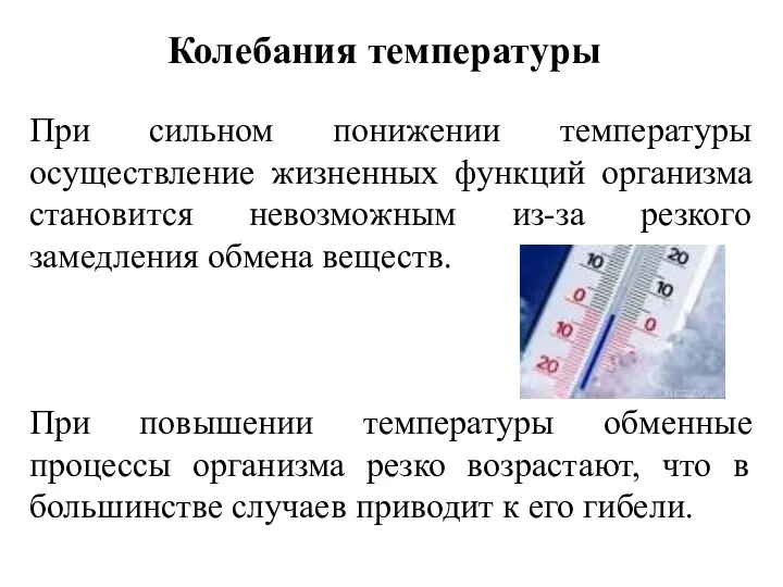 При сильном понижении температуры осуществление жизненных функций организма становится невозможным из-за