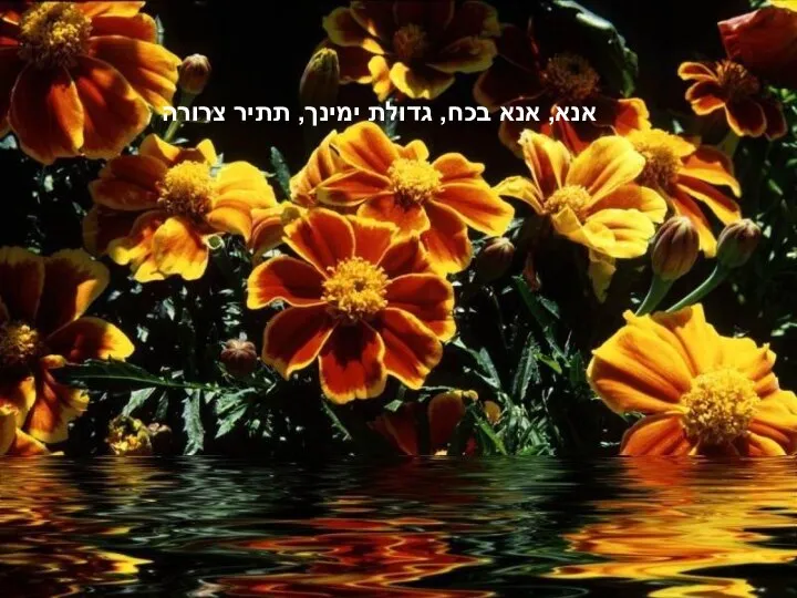 אנא, אנא בכח, גדולת ימינך, תתיר צרורה