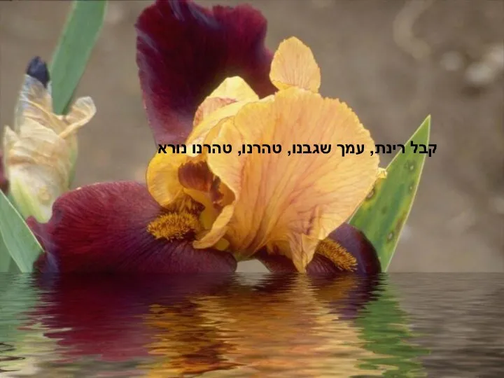 קבל רינת, עמך שגבנו, טהרנו, טהרנו נורא